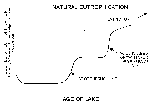 graph depicting natural eutrophication with age of lake