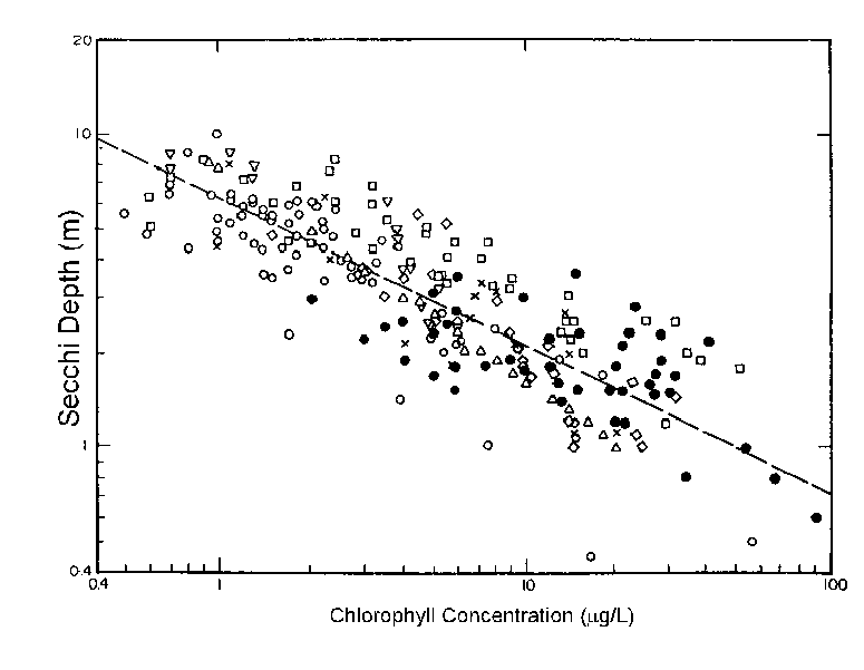 secchi depth/chlorophyll relationship
