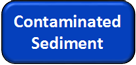 Contaminated Sediment